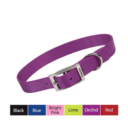 Coastal Pet Coastal Single-Ply Nylon Dog Collar 1 in BLACK 18 3808-BK-18